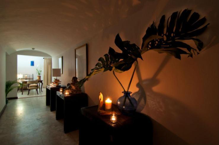 Mynt Retreat Bed & Breakfast Montego Bay Exteriér fotografie