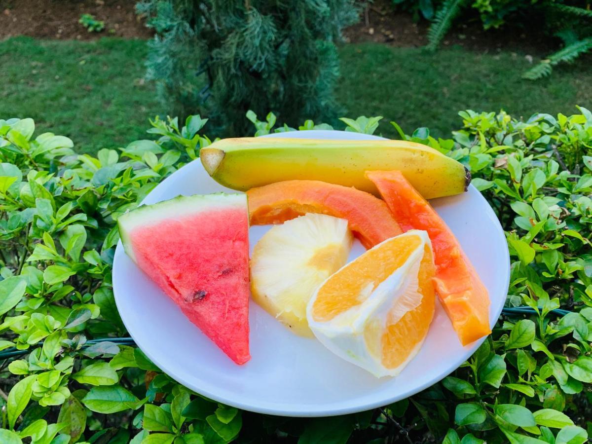 Mynt Retreat Bed & Breakfast Montego Bay Exteriér fotografie